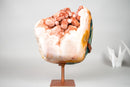 Rare Sculptural Pink Amethyst Geode with Red Druzy and Red Jasper on Custom Stand – 8.0 kg / 17.6 lb - E2D Crystals & Minerals