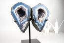 Lace Agate Angel Wings Geode with Blue and White Bands – Butterfly Geode - E2D Crystals & Minerals