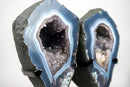 Lace Agate Angel Wings Geode with Blue and White Bands – Butterfly Geode - E2D Crystals & Minerals