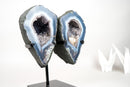 Lace Agate Angel Wings Geode with Blue and White Bands – Butterfly Geode - E2D Crystals & Minerals