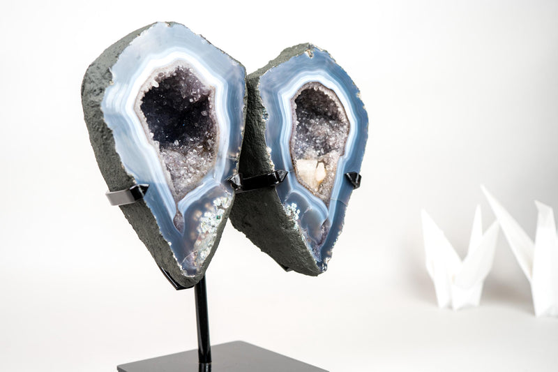 Lace Agate Angel Wings Geode with Blue and White Bands – Butterfly Geode - E2D Crystals & Minerals