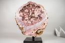 XL Gallery - Grade Pink Amethyst Geode with Rose Druzy on Botryoidal Flowers - E2D Crystals & Minerals