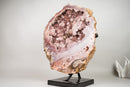 XL Gallery - Grade Pink Amethyst Geode with Rose Druzy on Botryoidal Flowers - E2D Crystals & Minerals