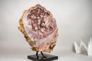 XL Gallery - Grade Pink Amethyst Geode with Rose Druzy on Botryoidal Flowers - E2D Crystals & Minerals