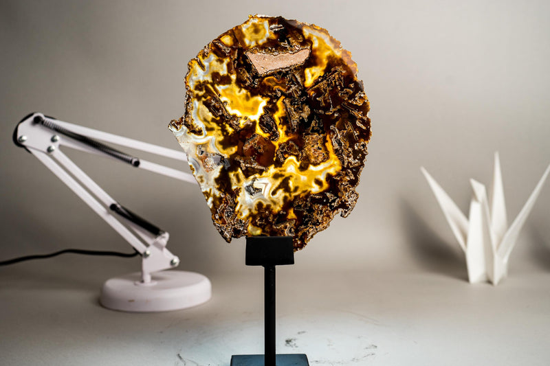 Rare Abstract Agate Slice – All - Natural Yellow, White and Black with Pseudomorph Inclusions, Collection Grade, Intact and Undyed - 700g - E2D Crystals & Minerals