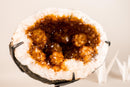 Spectacular Citrine Geode Cave with Rare Golden Flower Rosettes – Natural Deep Orange Crystal Formation, 27 Lb - E2D Crystals & Minerals