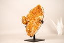 Rare Citrine Cluster with Unique Crystallized Calcite on Stand – Collector’s Specimen - 2.8 Kg - 6.2 lb - E2D Crystals & Minerals