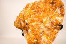 Rare Citrine Cluster with Unique Crystallized Calcite on Stand – Collector’s Specimen - 2.8 Kg - 6.2 lb - E2D Crystals & Minerals