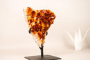 Spectacular AAA Natural Citrine Cluster with Sparkling Madeira Orange Druzy Crystals - 4.0 Kg - 8.8 lb - E2D Crystals & Minerals