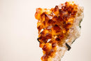 Spectacular AAA Natural Citrine Cluster with Sparkling Madeira Orange Druzy Crystals - 4.0 Kg - 8.8 lb - E2D Crystals & Minerals