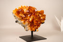 AAA - Grade Natural Citrine Crystal Cluster with Large Sparkling Madeira Orange Druzy, on Custom Stand - 5.8 Kg - 13 lb - E2D Crystals & Minerals