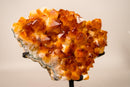 AAA - Grade Natural Citrine Crystal Cluster with Large Sparkling Madeira Orange Druzy, on Custom Stand - 5.8 Kg - 13 lb - E2D Crystals & Minerals
