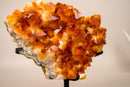 AAA - Grade Natural Citrine Crystal Cluster with Large Sparkling Madeira Orange Druzy, on Custom Stand - 5.8 Kg - 13 lb - E2D Crystals & Minerals