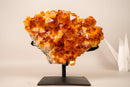 AAA - Grade Natural Citrine Crystal Cluster with Large Sparkling Madeira Orange Druzy, on Custom Stand - 5.8 Kg - 13 lb - E2D Crystals & Minerals