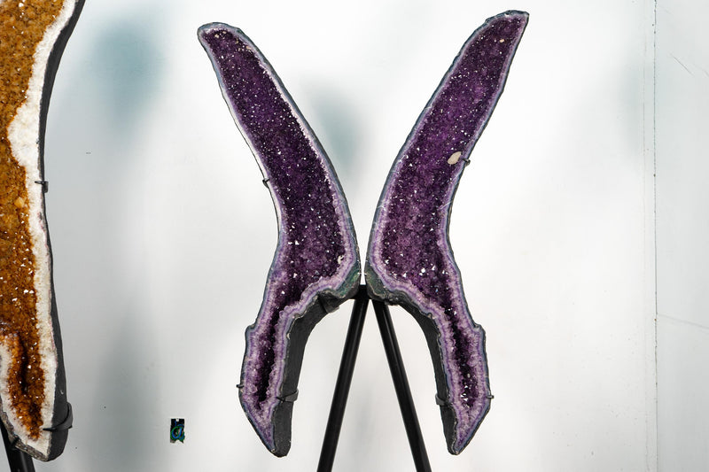 Sculptural Amethyst Geode Wings – 6.5 Ft Tall Butterfly Formation - E2D Crystals & Minerals