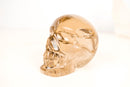 AAA - Grade Smoky Citrine Crystal Skull – Gorgeous All - Natural Honey Citrine Quartz - 840g - 1.9 lb - E2D Crystals & Minerals