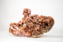 Rare Sculptural Pink Amethyst Geode with Red Galaxy Druzy – Gallery - Grade, Self - Standing Brazilian Specimen - 4 Lb. - E2D Crystals & Minerals