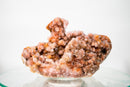 Rare Sculptural Pink Amethyst Geode with Red Galaxy Druzy – Gallery - Grade, Self - Standing Brazilian Specimen - 4 Lb. - E2D Crystals & Minerals