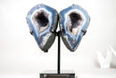 Lace Agate Angel Wings Geode with Blue and White Bands – Butterfly Geode - E2D Crystals & Minerals