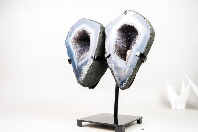 Lace Agate Angel Wings Geode with Blue and White Bands – Butterfly Geode - E2D Crystals & Minerals