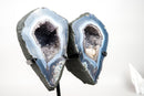 Lace Agate Angel Wings Geode with Blue and White Bands – Butterfly Geode - E2D Crystals & Minerals
