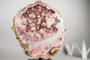 XL Gallery - Grade Pink Amethyst Geode with Rose Druzy on Botryoidal Flowers - E2D Crystals & Minerals