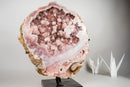 XL Gallery - Grade Pink Amethyst Geode with Rose Druzy on Botryoidal Flowers - E2D Crystals & Minerals
