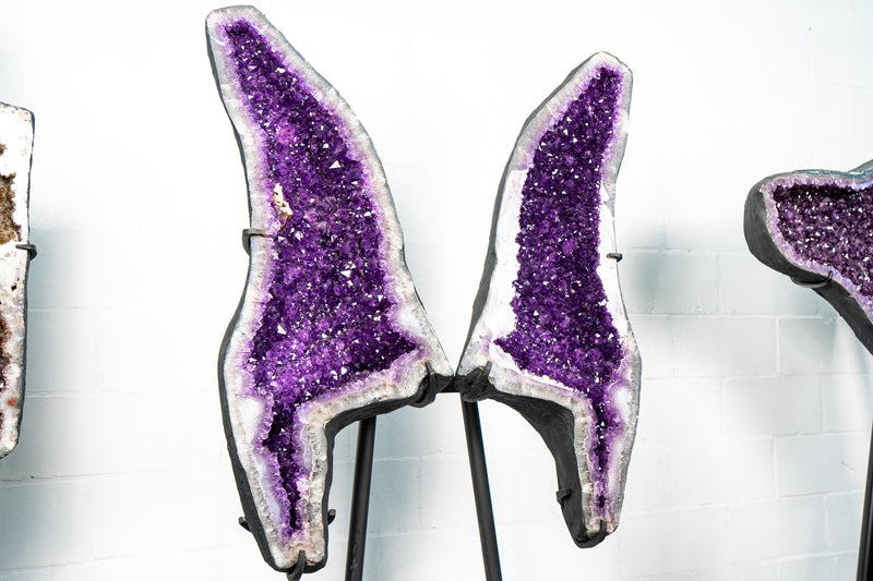 Amethyst Geode Butterfly Wings – Intense Violet Purple Color - E2D Crystals & Minerals