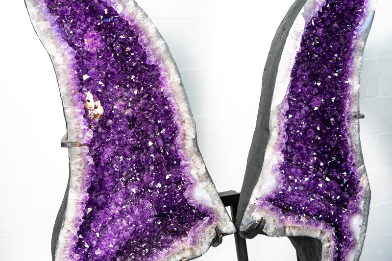 Amethyst Geode Butterfly Wings – Intense Violet Purple Color - E2D Crystals & Minerals