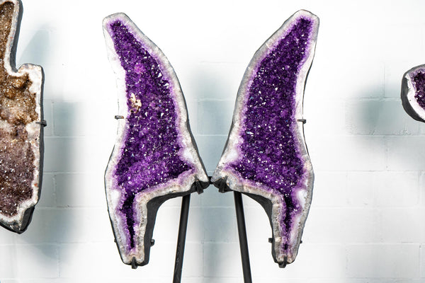 Amethyst Geode Butterfly Wings – Intense Violet Purple Color - E2D Crystals & Minerals