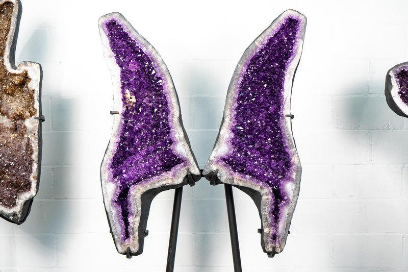 Amethyst Geode Butterfly Wings – Intense Violet Purple Color - E2D Crystals & Minerals