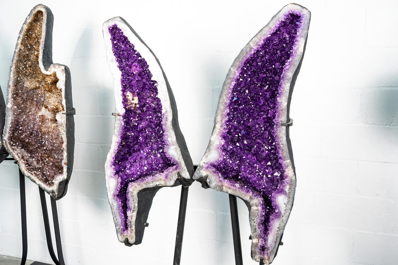 Amethyst Geode Butterfly Wings – Intense Violet Purple Color - E2D Crystals & Minerals