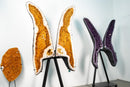 Giant 7.22 Ft Citrine Butterfly Geode Wings - E2D Crystals & Minerals