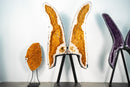 Giant 7.22 Ft Citrine Butterfly Geode Wings - E2D Crystals & Minerals