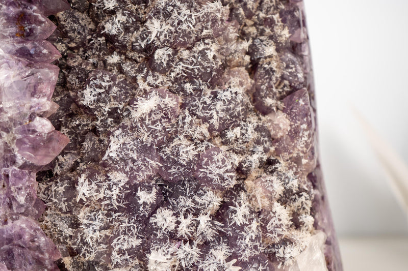 Rare Amethyst Cluster with Micro - Crystallized Calcite – Large Cut - Base Specimen - E2D Crystals & Minerals