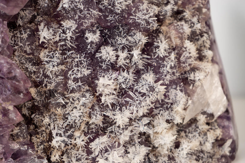 Rare Amethyst Cluster with Micro - Crystallized Calcite – Large Cut - Base Specimen - E2D Crystals & Minerals