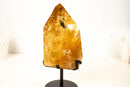 Large Natural Golden Honey Citrine Crystal Point - E2D Crystals & Minerals