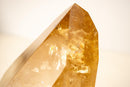 Natural Golden Honey Citrine Crystal Point with Tourmaline Inclusion - E2D Crystals & Minerals