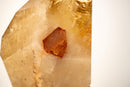 Natural Golden Honey Citrine Crystal Point with Tourmaline Inclusion - E2D Crystals & Minerals