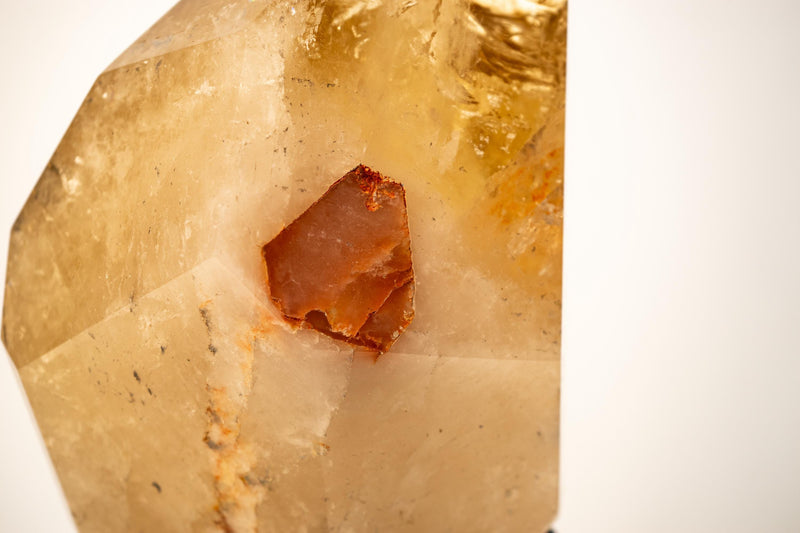 Natural Golden Honey Citrine Crystal Point with Tourmaline Inclusion - E2D Crystals & Minerals