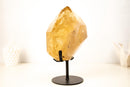Natural Golden Honey Citrine Crystal Point with Tourmaline Inclusion - E2D Crystals & Minerals