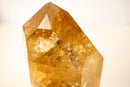 Natural Golden Honey Citrine Crystal Point with Tourmaline Inclusion - E2D Crystals & Minerals