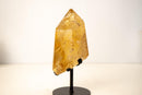 Rare Golden Orange Citrine Obelisk with Graphite Rutile Inclusions - E2D Crystals & Minerals