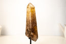 Rare Natural Citrine with Graphite Rutile Obelisk Tower - E2D Crystals & Minerals