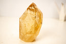 Genuine Golden Honey Citrine Crystal Point - E2D Crystals & Minerals