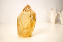 Genuine Golden Honey Citrine Crystal Point - E2D Crystals & Minerals