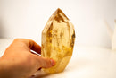 Genuine Golden Honey Citrine Crystal Point - E2D Crystals & Minerals