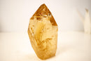 Genuine Golden Honey Citrine Crystal Point - E2D Crystals & Minerals