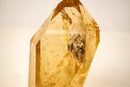 Genuine Golden Honey Citrine Crystal Point - E2D Crystals & Minerals