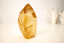 Genuine Golden Honey Citrine Crystal Point - E2D Crystals & Minerals